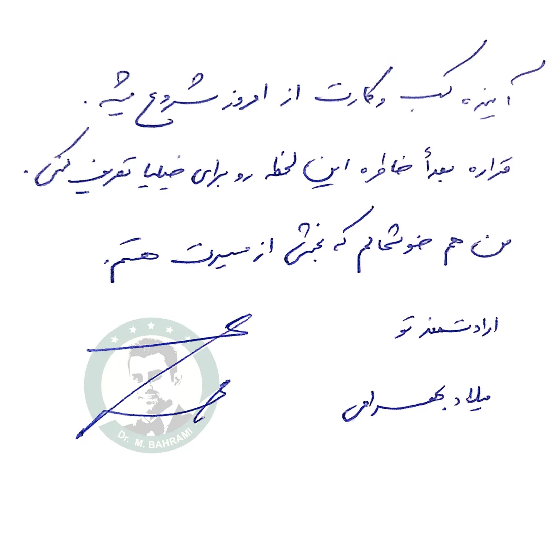 میلاد بهرامی مشاور کسب و کار